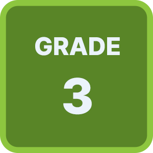 grade 3